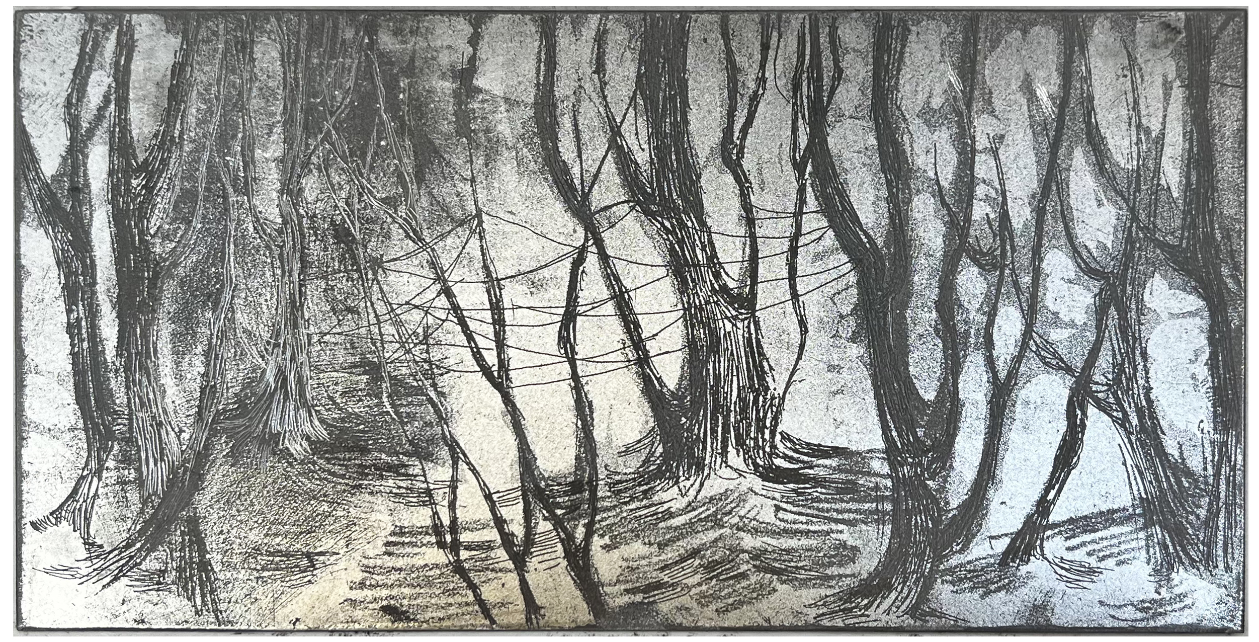 Untitled 5